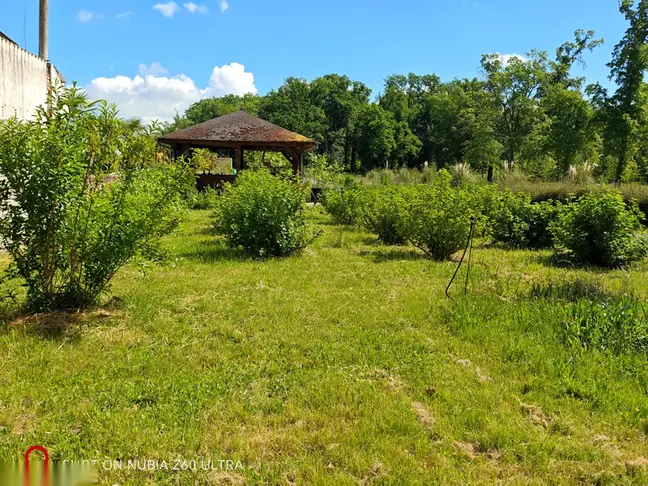 Garden gazebo with flowering shrubs