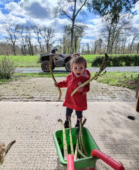 A toddler standing happily in a red wheelbarrow on the estate path