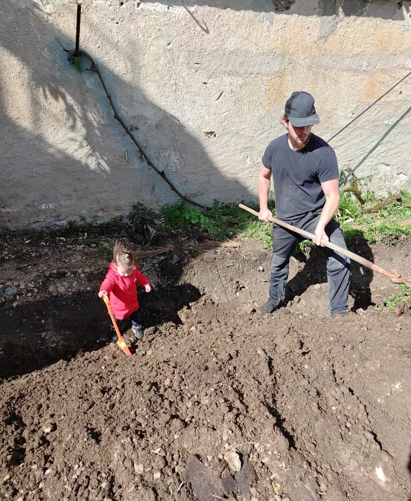 An adult and a small child digging together in freshly turned soil