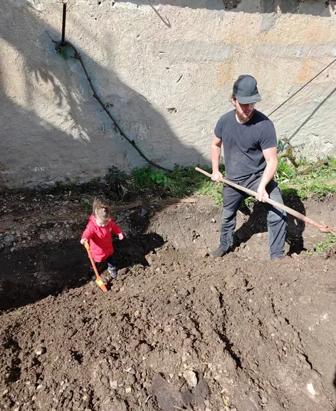 An adult and a small child digging together in freshly turned soil