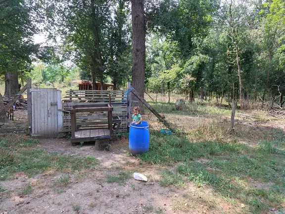 The estate apiary and animal pens among young trees
