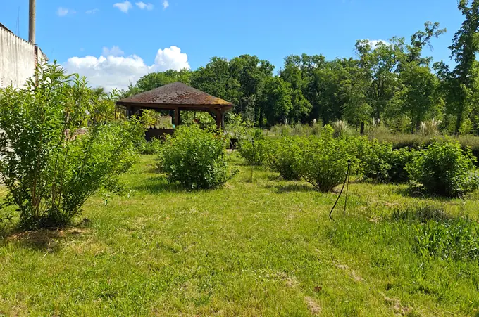Young fruit trees and a gazebo in the orchard