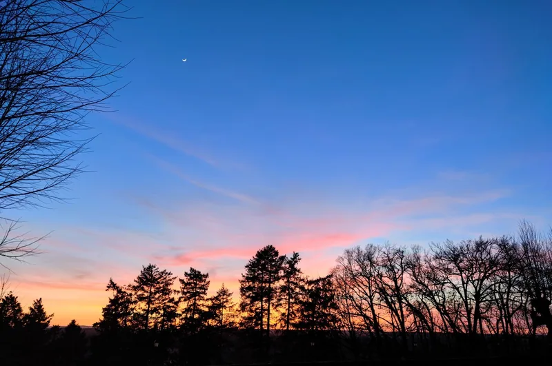 A pink and orange sunset burning behind the bare winter treeline