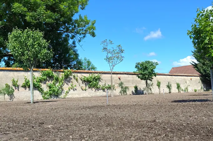 The walled garden cleared and levelled, ready for planting