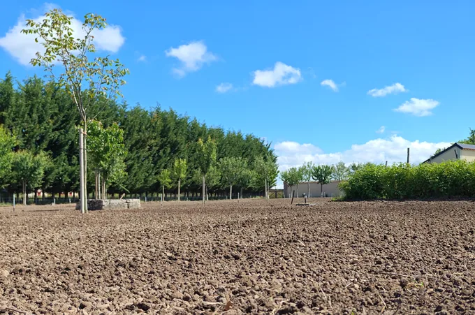 Ground being prepared inside the historic walled garden