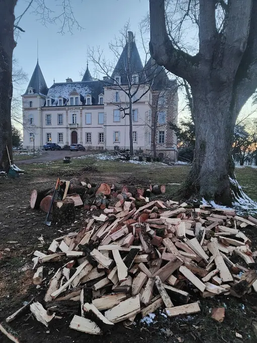 Timber stacked before the chateau during restoration works