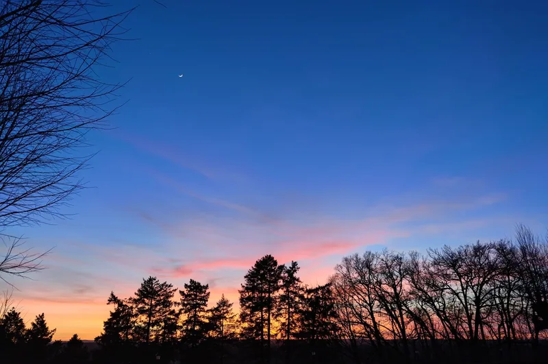 A pink and blue sunset over the estate treeline